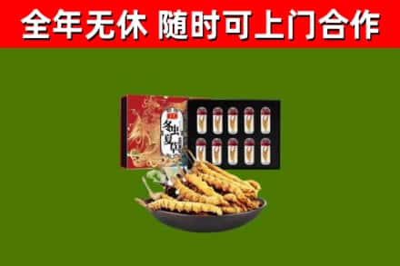 余干烟酒回收冬虫夏草礼盒.jpg